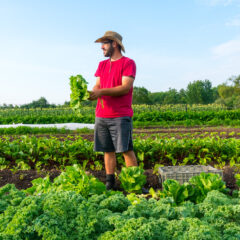Farmer Josh Girard - Photo by Carrie Girard Photography