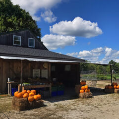 Farm stand in autumn