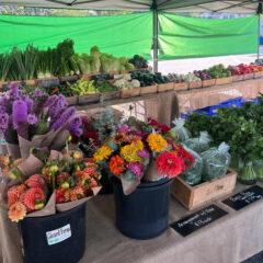 Ready for the market to open