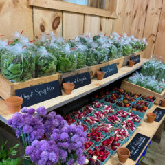 Bags of greens at the farm store