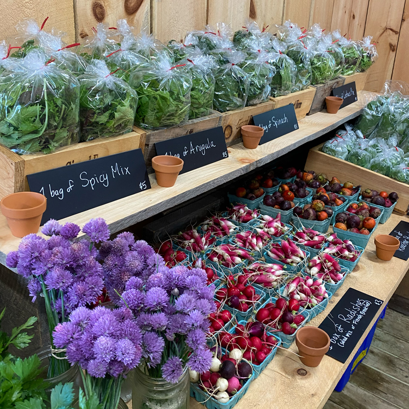 Seasonal veggies at the farm stand