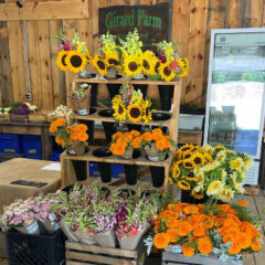 Flowers from the farm