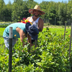 Harvesting flowers