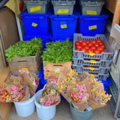 Heading to the farmers’ market