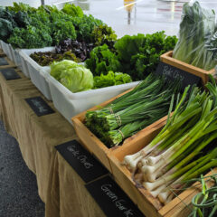 Beautiful greens at the market