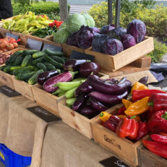 All the colors at a summer farmers’ market